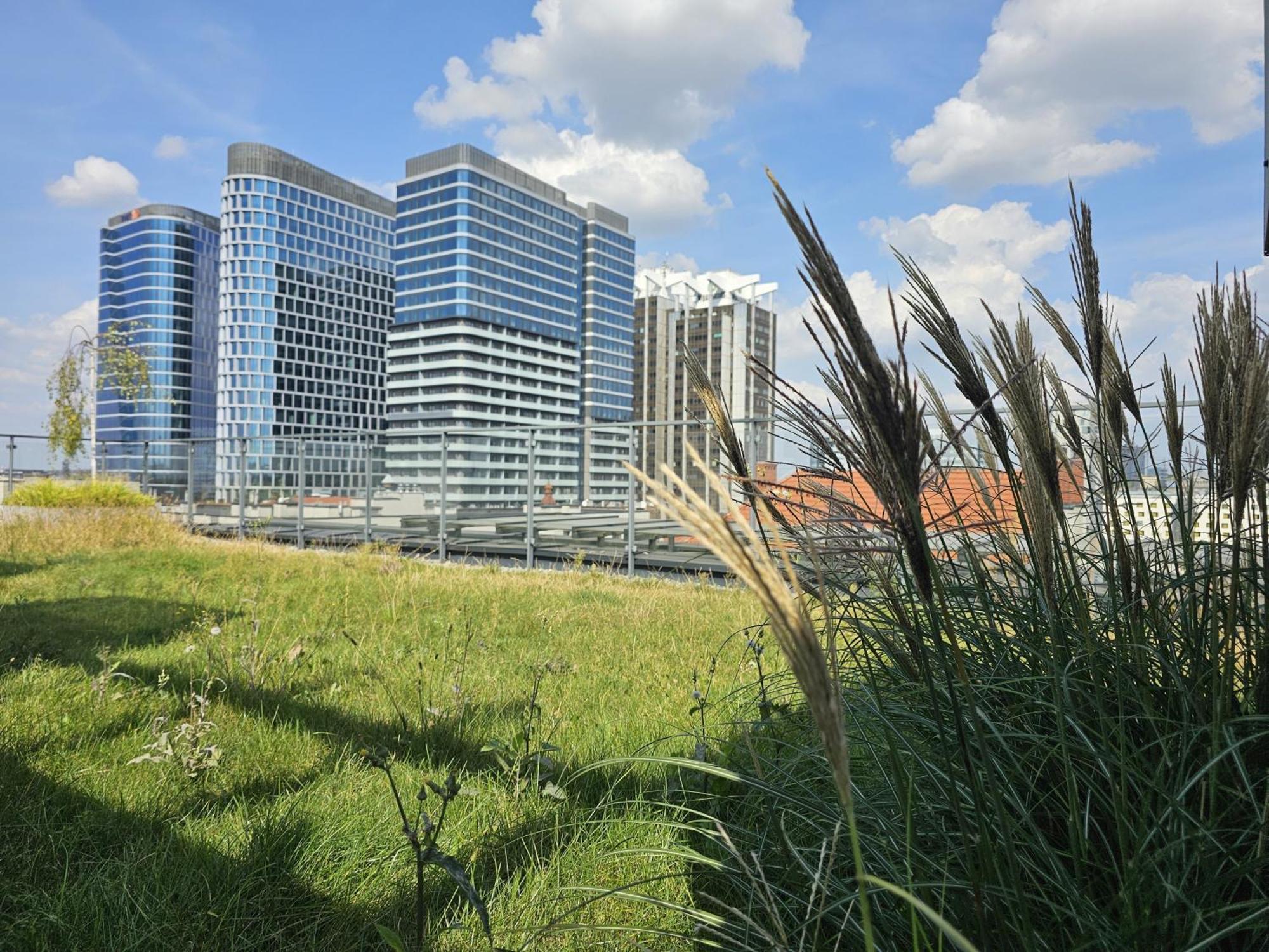 Urban Apartments Premium, Opolska 10 No 67B, Free Garage, Self Check-In Katowice Eksteriør bilde